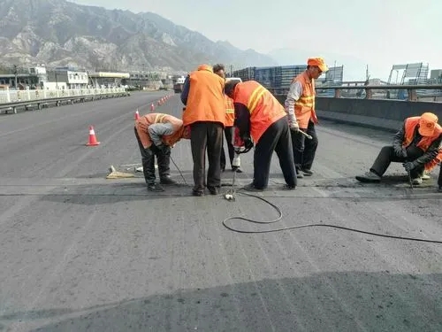 仪陇道路桥梁病害治理